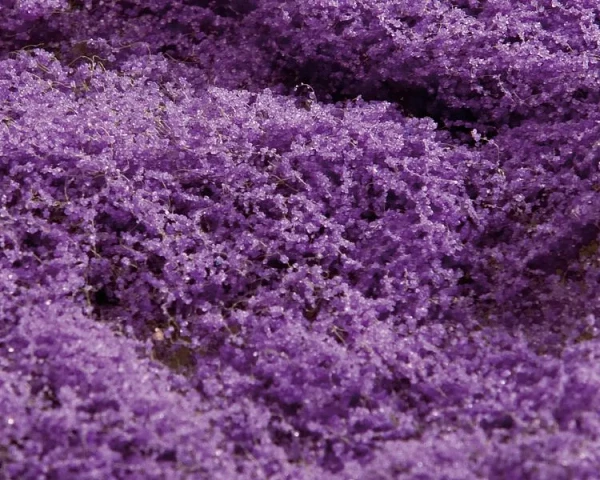 Faller Premium Violet Flower Meadow Mat