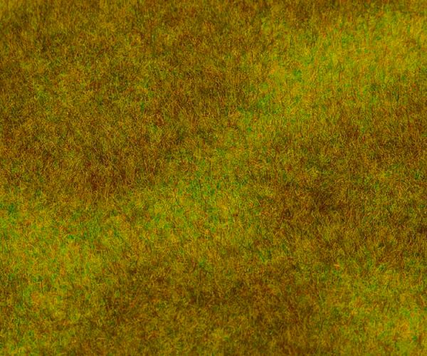 Faller Meadow Landscape Segment