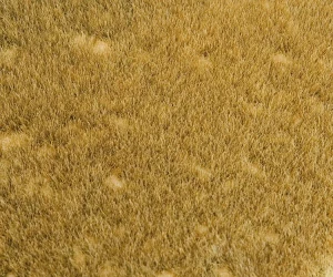 FALLER Wild Grass Meadow Landscape Segment