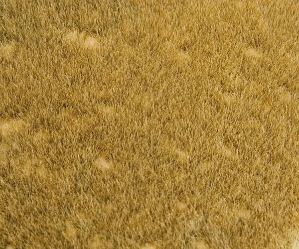 FALLER Wild Grass Meadow Landscape Segment